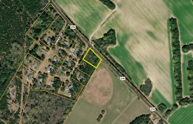 0000 Live Oak Ln, Barnwell, SC 29812 - photo 5