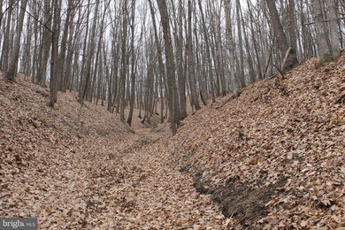 0 Push Root Rd unit WVMI111820, Burlington, WV 26710 - photo 2