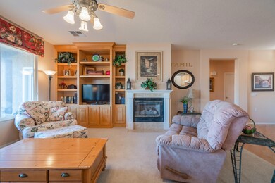 Fireplace & Built-in Entertainent Center