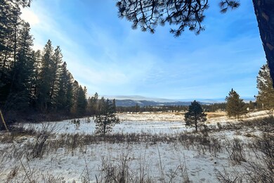 3341 Daisy Mine Rd, Rice, WA 99167 - photo 6