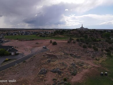 1788 W Stagecoach Ln, Snowflake, AZ 85937 - photo 3