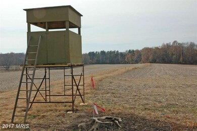 0 Pond Neck Rd unit 1001673633, Earleville, MD 21919 - photo 2