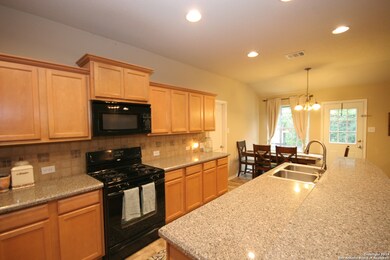 25042 Catalan Cliff, San Antonio, TX 78261 - photo 6