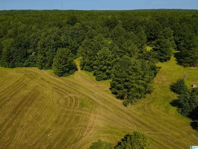 0 Highway 145 unit 1 21425973, Shelby, AL 35143 - photo 6