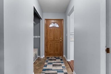 407 3rd Ave SE, Pine Island, MN 55963 - photo 2