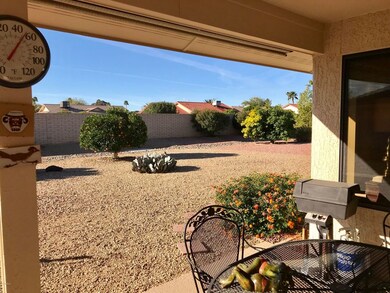 BACK YARD FROM PATIO