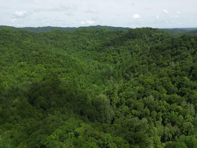 24 Border Creek Rd, Panther, WV 24872 - photo 2