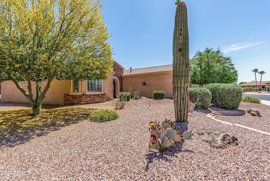 Notice the Saguaro Cactus