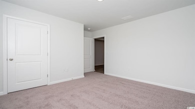 316 Spruce Pine Way unit Lot 158 - Cali A, Conway, SC 29526 - photo 5