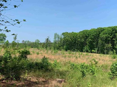 4043 N Carolina 96, Oxford, NC 27565 - photo 4