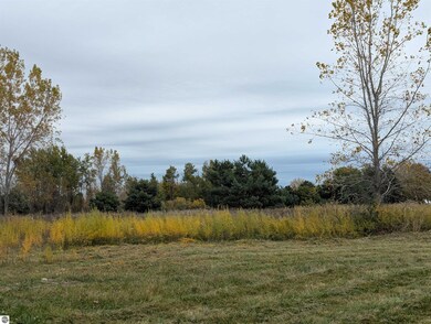 N/A Court St, Au Gres, MI 48703 - photo 4