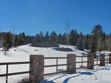 Community view with snow
