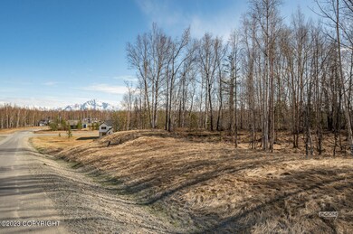 Lot Photos-1 copy