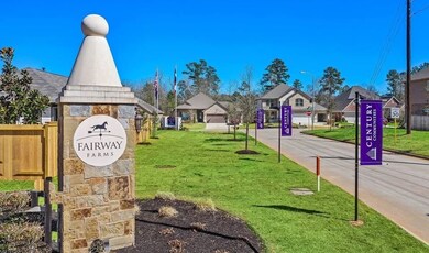 25739 Boxwood Hedge Ln, Tomball, TX 77375 - photo 5