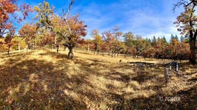 unlisted-address, Hayfork, CA 96041 - photo 3