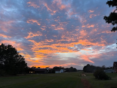 Lot 166 Kitty Hawk Dr, Berryville, TX 75763 - photo 7