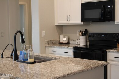 1313 W Buckeye Tree Ave, San Tan Valley, AZ 85140 - photo 4