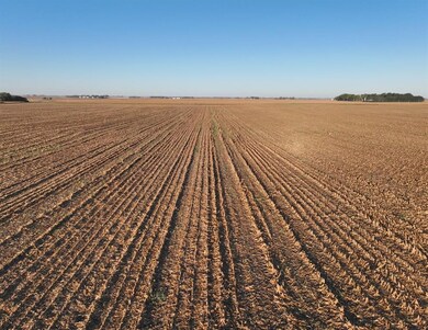 00 210th Ave, Newell, IA 50568 - photo 4