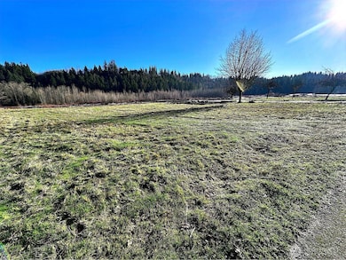 17118 226th St Ct E, Graham, WA 98338 - photo 2