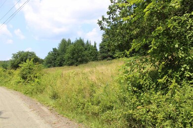 0 Ferguson Rd, Barnet, VT 05821 - photo 5