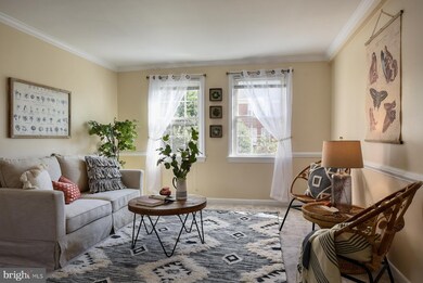 6609 10th St unit B1, Alexandria, VA 22307 - photo 2