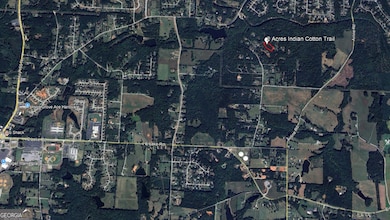 540 Indian Cotton Trail, McDonough, GA 30252 - photo 2