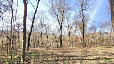 474726 E 660 Rd, Westville, OK 74965 - photo 2