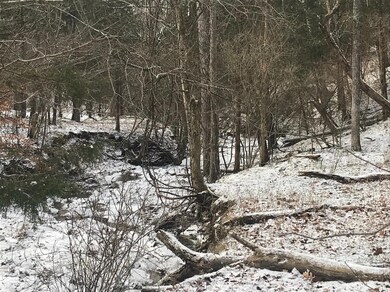 0 Russell Rd unit 196440, Brookville, IN 47012 - photo 2