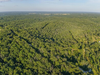 Tbd State Highway Y, Willow Springs, MO 65793 - photo 7
