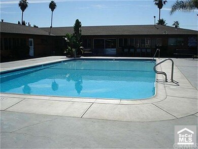 Community Sparkling swimming pool