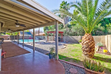 4 Back yard