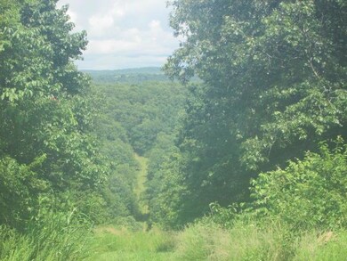 View two