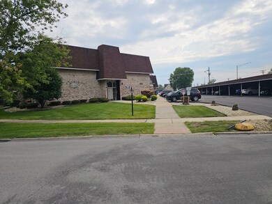 3235 S Manor Dr unit 306, Lansing, IL 60438 - photo 3