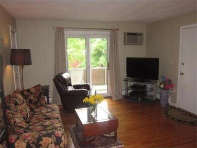 60 Lionel Ave unit F, Waltham, MA 02452 - photo 5