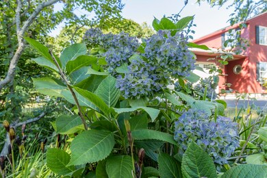 253 Black Point Rd, Scarborough, ME 04074 - photo 6