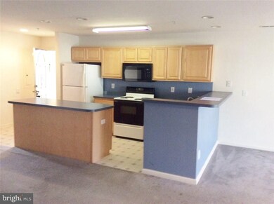 36525 Palm Dr unit 5206, Rehoboth Beach, DE 19971 - photo 5