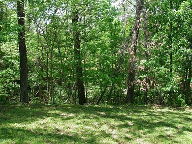 5 Annabell Ln, Bella Vista, AR 72715 - photo 6