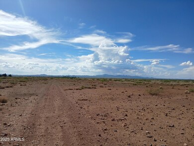 TBD N Ee Ranch Rd unit 1/4, McNeal, AZ 85617 - photo 5