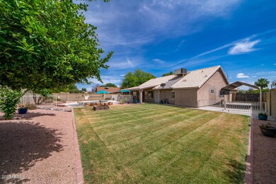 Large Backyard