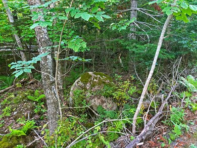 GraniteOutcrops