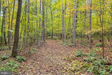 0 Dreamland Rd unit B VACU2006336, Jeffersonton, VA 22724 - photo 4