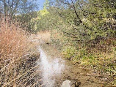 Tbd Indian Spring Dr unit LotWP001, Trinidad, CO 81082 - photo 7