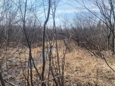 ON Skinner Creek Ln, Kennan, WI 54537 - photo 4