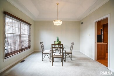 4419 W Jewelwood Ct, Peoria, IL 61615 - photo 6