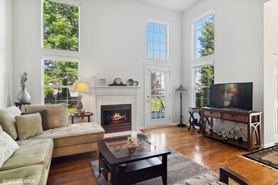 292 Manor Dr unit 6A, Buffalo Grove, IL 60089 - photo 4