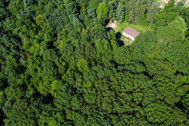 20200717-DJI_0328