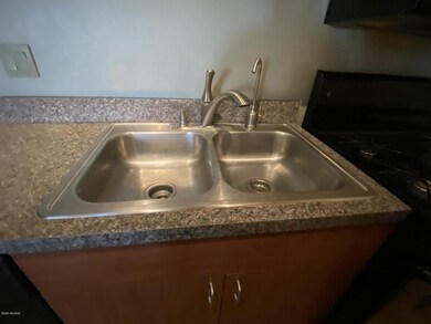 Double stainless steel sinks