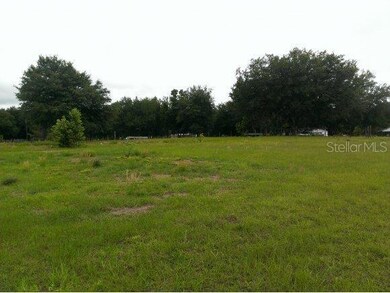 7051 SE 210 Ave, Morriston, FL 32668 - photo 4