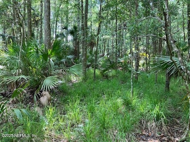 0220 Little Branch Tr, Interlachen, FL 32148 - photo 6