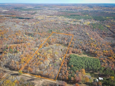 12278 N Willow Rd, Bitely, MI 49309 - photo 4